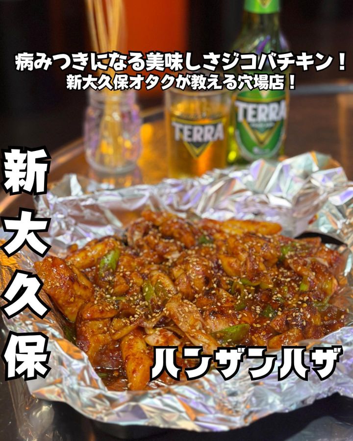 『ハンザンハザ』の写真1