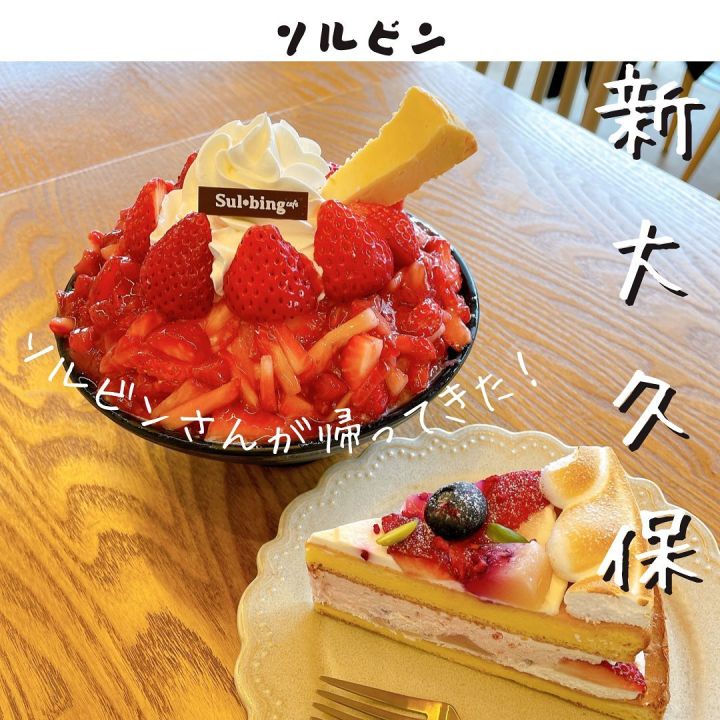 『ソルビン』の写真1