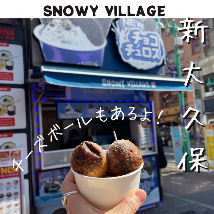 『Snowy Village』の写真1