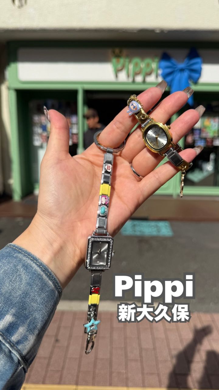 『Pippi』の動画のカバー