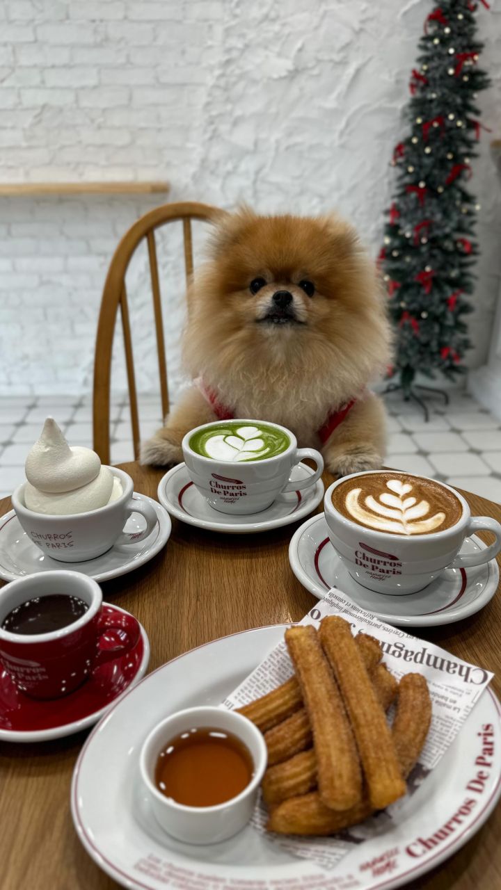 『churros de paris』の動画のカバー