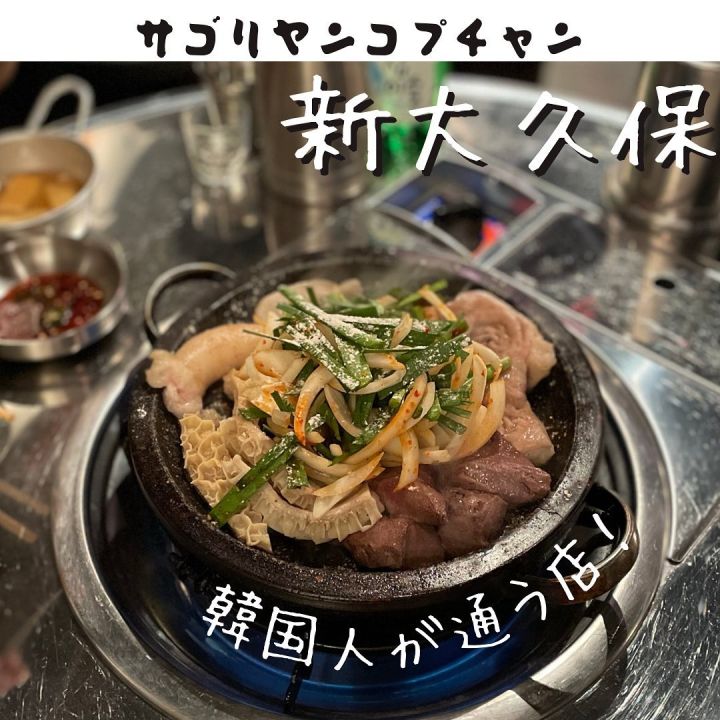 『サゴリヤンコプチャン』の写真1
