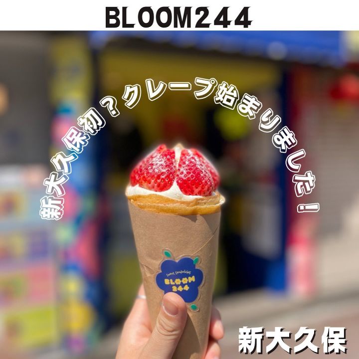 『BLOOM244』の写真1