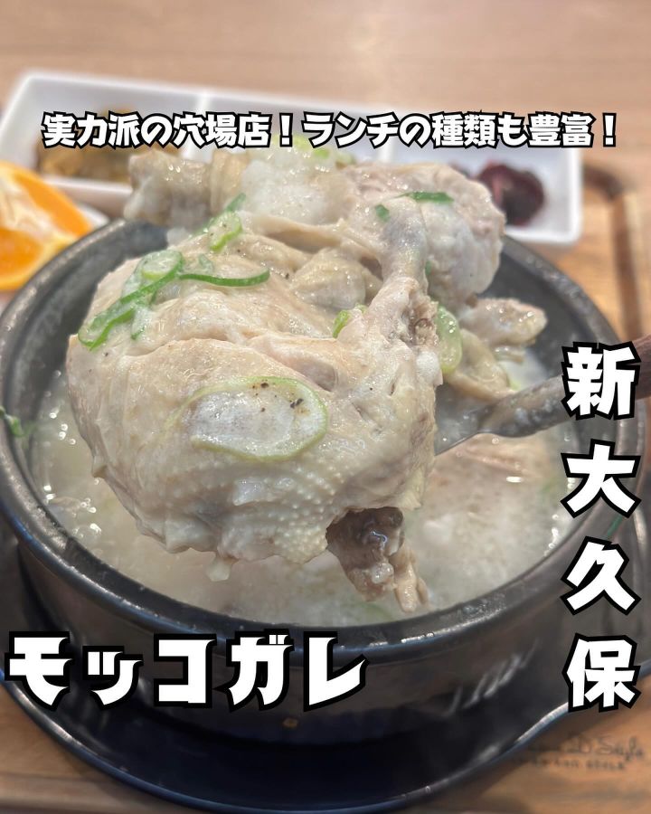 『モッコガレ』の写真1