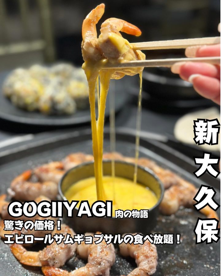 『GOGIIYAGI』の写真1