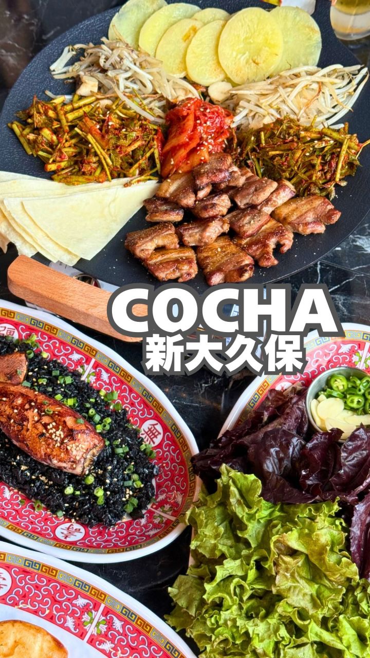 『COCHA』の動画のカバー