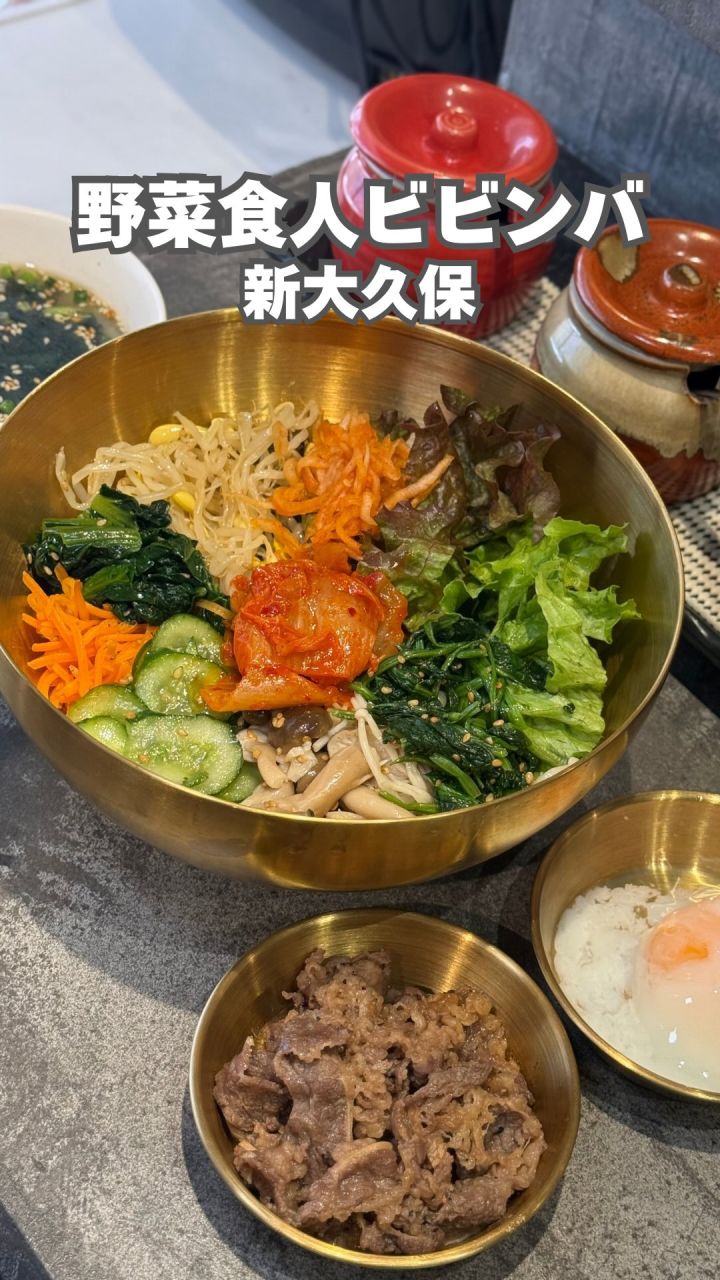 『野菜食人ビビンバ』の動画のカバー