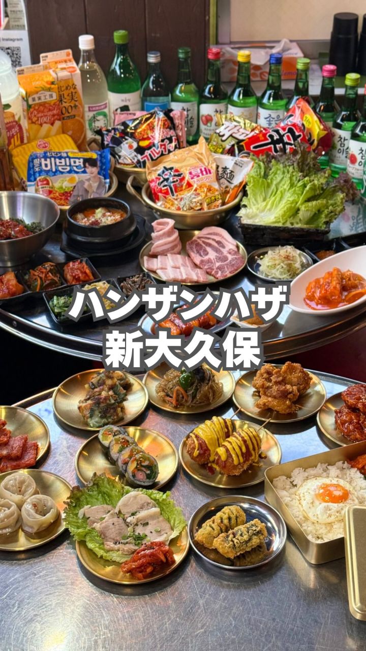 『ハンザンハザ』の動画のカバー