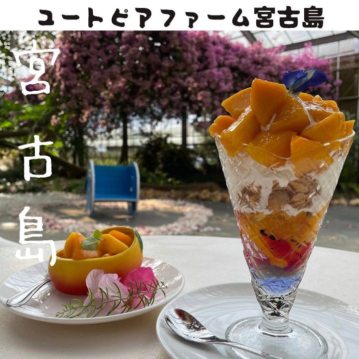 【宮古島】#すの妻旅の思ひ出の写真