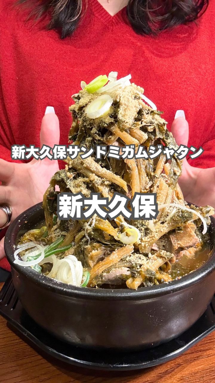 『新大久保サンドミガムジャタン』の動画のカバー